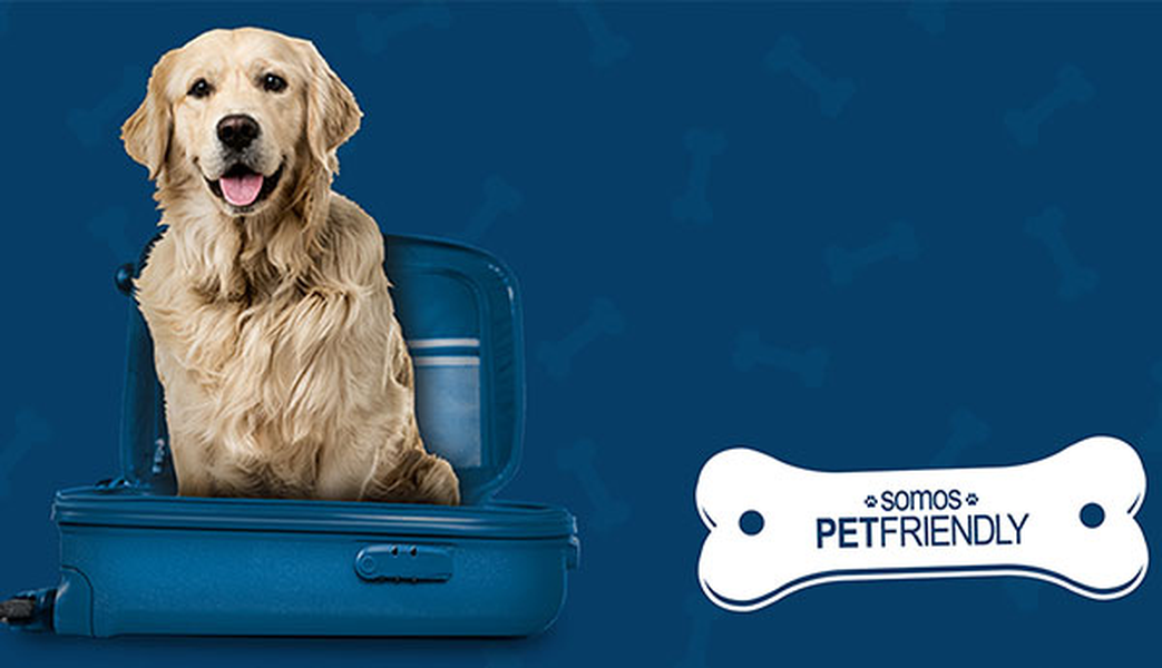 Want to travel with your pet? Hotel ILUNION Suites Madrid