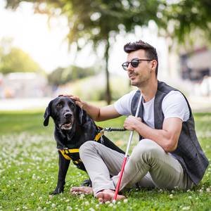 ACCESSIBILITY Hotel ILUNION Suites Madrid Madrid